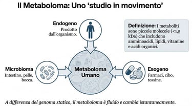 Il Metaboloma componenti