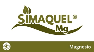 Quelatos Simaquel