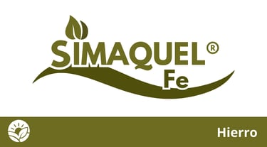 Quelatos Simaquel