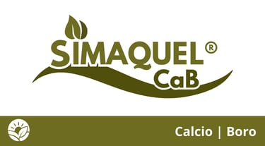 Quelatos Simaquel