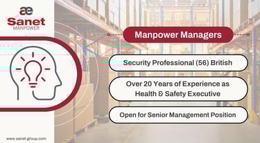 Security Professional