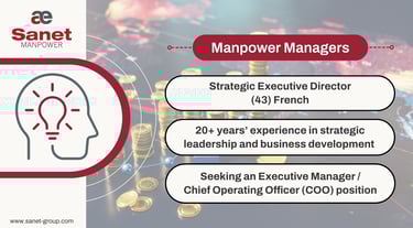 Strategic Executive Director