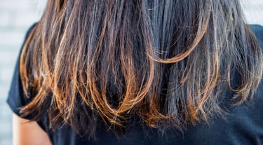 Hair repair treatment for damaged and chemically treated hair