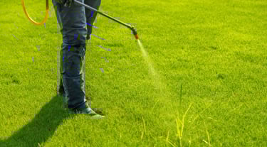 Professional lawn care technician applying liquid weed control treatment to a green backyard grass lawn.