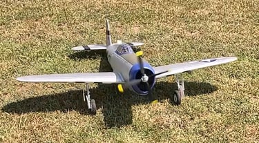 Rick L P47 Razorback 2nd & 4th Flights