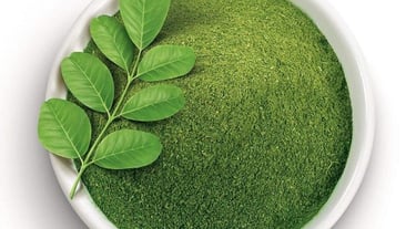 a bowl of moringa powder with moringa leaf