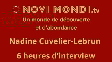 écran de Novimondi.TV interviews