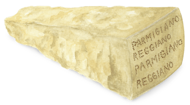 watercolor parmesan parmigiano 