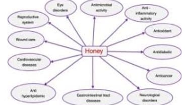 Bee Therapy the Benefits and Uses of Bee Venom (2)
