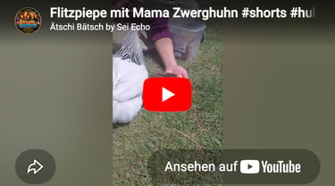 Flitzpiepe mit Mama Zwerghuhn