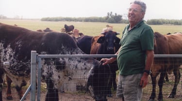 Eli with his cattle.