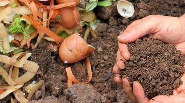 Composter 