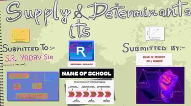 Economics project on supply