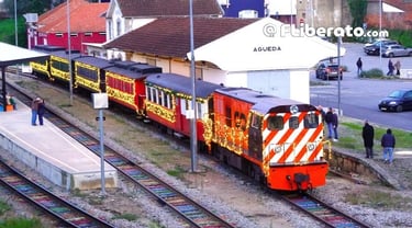 Comboio histórico do Vouga ESPECIAL DE NATAL