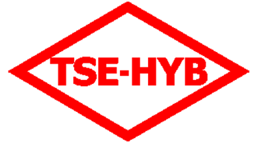 tse, tse belgesi, hyb belgesi, hyb belgesi almak, hyb belge almak, hizmet belgesi al