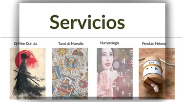 detalle de servicios ofrecidos por Antonia Albi