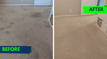 Image of Refresh Property Services after a carpet cleaning in san antonio, TX. 