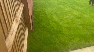 Levelled garden with new grass turf in Worcester