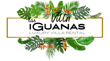 floral banner displaying brand name villa las iguanas
