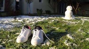 Rosebud I, The HUB CITY Brand (Prototype - Winter; Mazeres-Lezons, FRANCE, circa 2020)