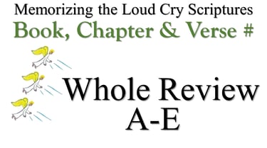 A-E Book, Chapter & Verse # Whole Review
