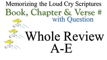 A-E Book, Chapter & Verse # Whole Review with Question