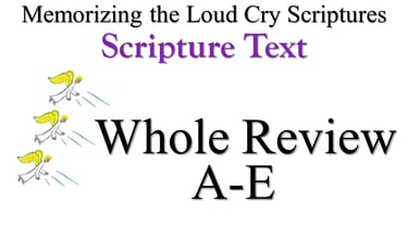A-E Scripture Text Whole Review