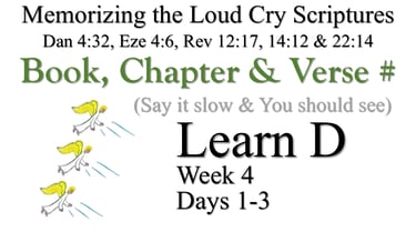 Learn D (Days 1-3)