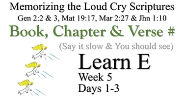 Learn E (Days 1-3)
