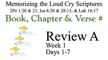 Review A (Days 1-7)