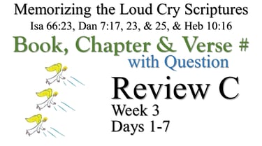 Review C (Days 1-7) with Q