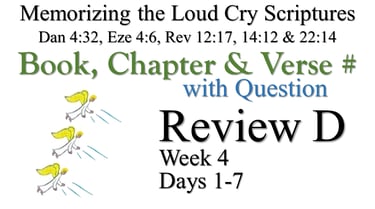 Review D (Days 1-7) with Q