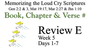 Review E (Days 1-7)