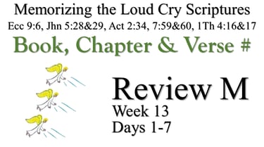 Review M (Days 1-7)