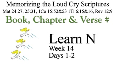 Learn N (Days 1-2)
