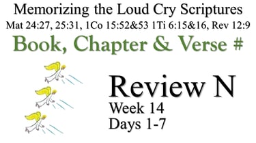 Review N (Days 1-7)