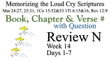 Review N (Days 1-7) with Q