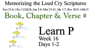 Learn P (Days 1-2)