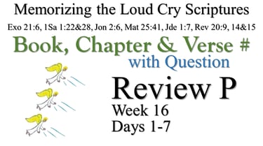 Review P (Days 1-7) with Q