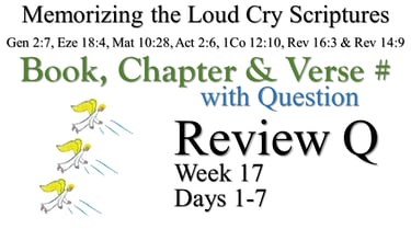Review Q (Days 1-7) with Q