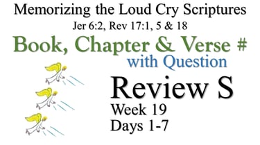Review S (Days 1-7) with Q