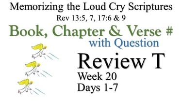 Review T (Days 1-7) with Q