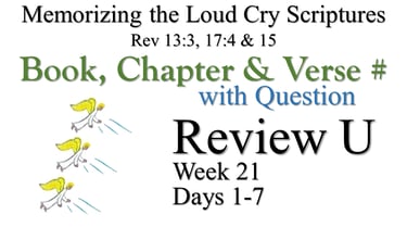 Review U (Days 1-7) with Q