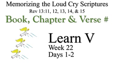 Learn V (Days 1-2)
