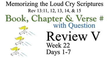 Review V (Days 1-7) with Q