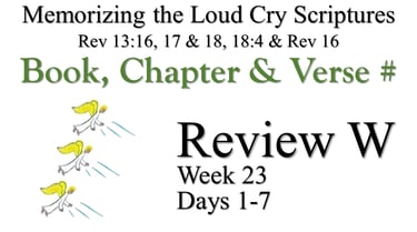Review W (Days 1-7)
