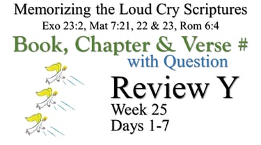 Review Y (Days 1-7) with Q
