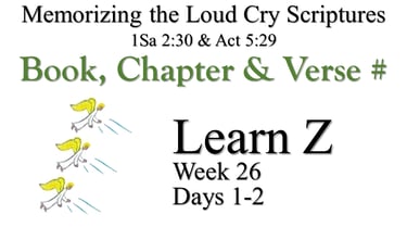 Learn Z (Days 1-2)