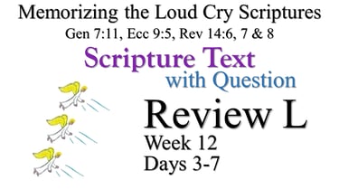 Review B (Days 3-7) with Q