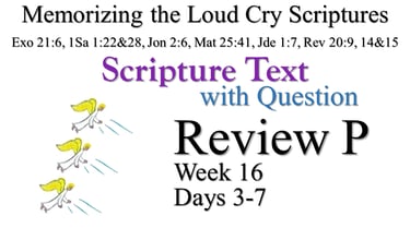 Review P (Days 3-7) with Q